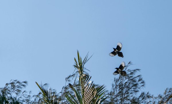 Les meilleures applications pour suivre les grossesses multiples